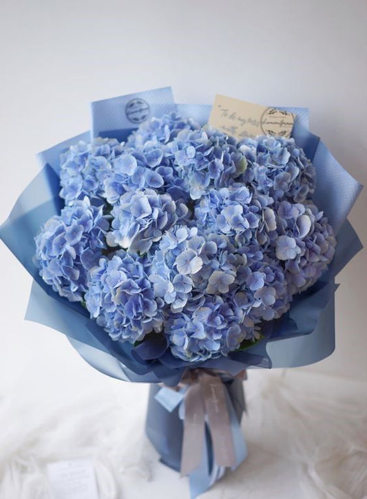 Hydrangea Bouquet